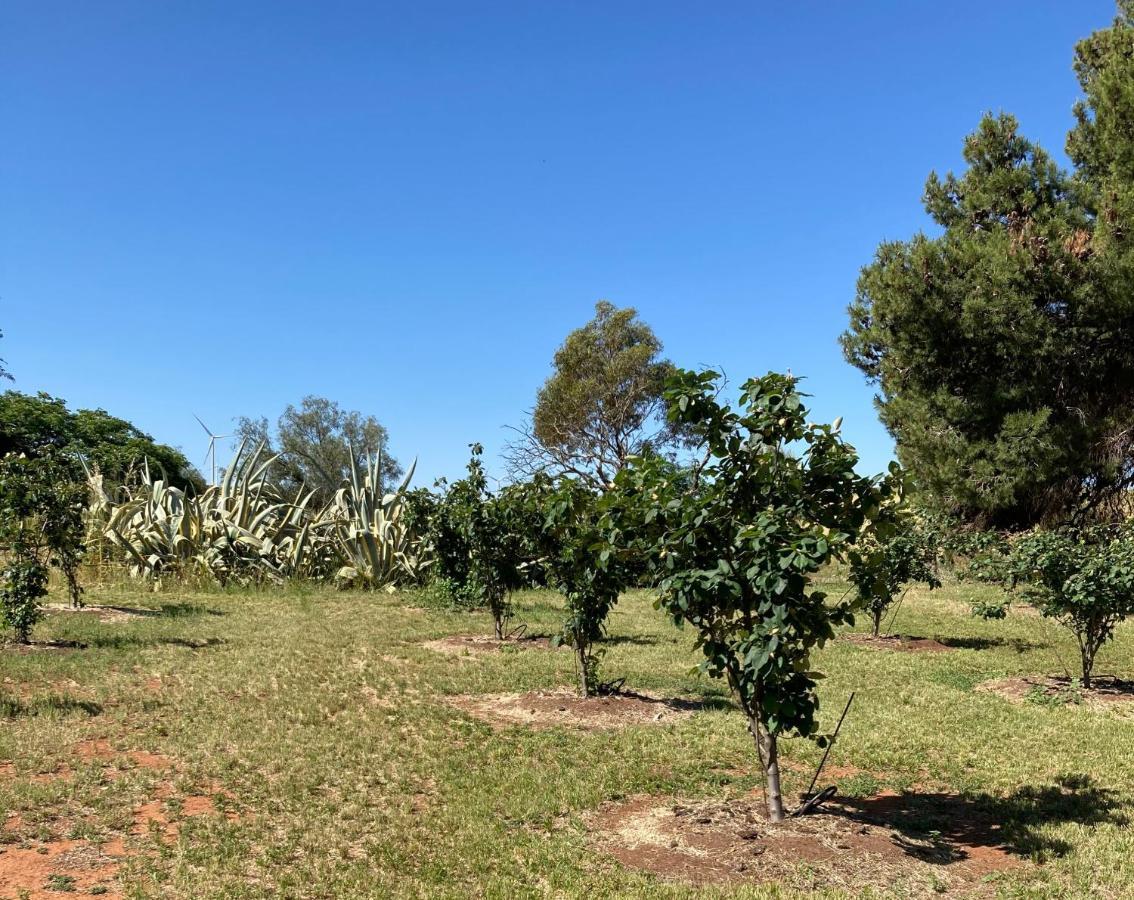 Vila Belalie Wines Jamestown Exteriér fotografie